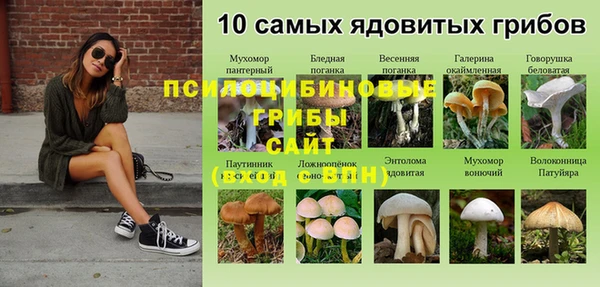 mdpv Алексин