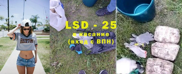 ГАЛЛЮЦИНОГЕННЫЕ ГРИБЫ Алексеевка
