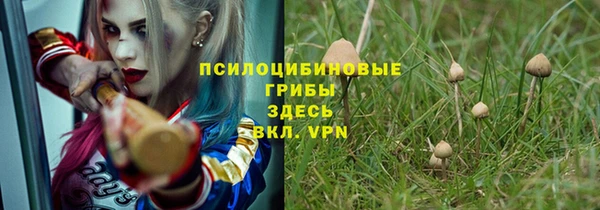 ГАЛЛЮЦИНОГЕННЫЕ ГРИБЫ Алексеевка