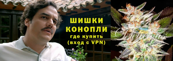ГАЛЛЮЦИНОГЕННЫЕ ГРИБЫ Алексеевка
